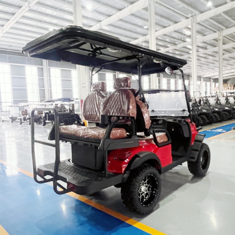 Low Price Golf Cart Luxury Ele - đánh giá và giá Luxury Bags Youtube