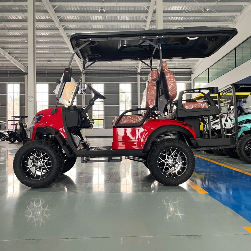 Low Price Golf Cart Luxury Ele - đánh giá và giá Luxury Bags Youtube