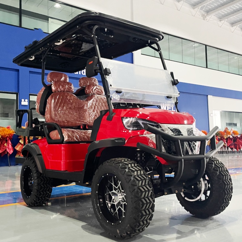 Low Price Golf Cart Luxury Ele - đánh giá và giá Luxury Bags Youtube