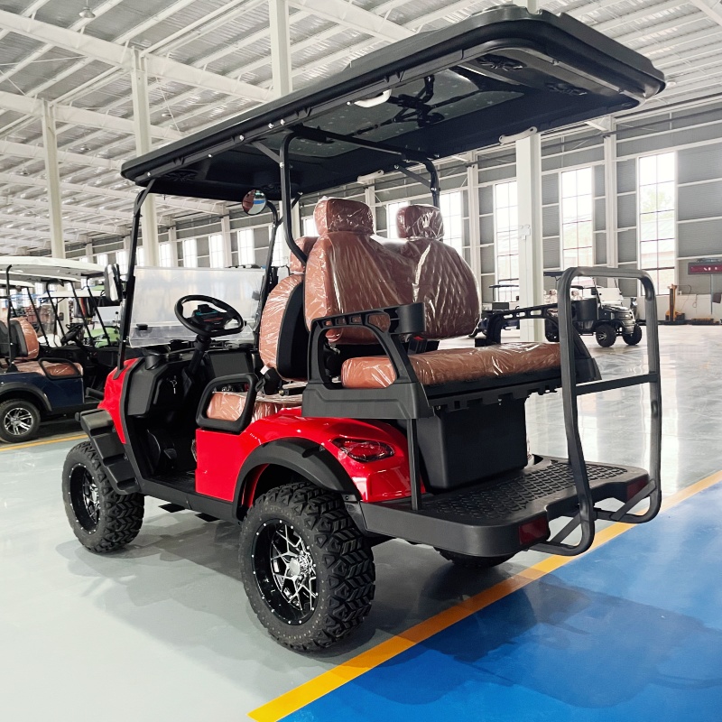 Low Price Golf Cart Luxury Ele - đánh giá và giá Luxury Bags Youtube